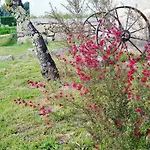 Casa rural A Cantaruxa Maruxa Mondariz
