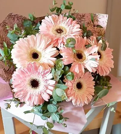 A Cantaruxa Maruxa * Mondariz