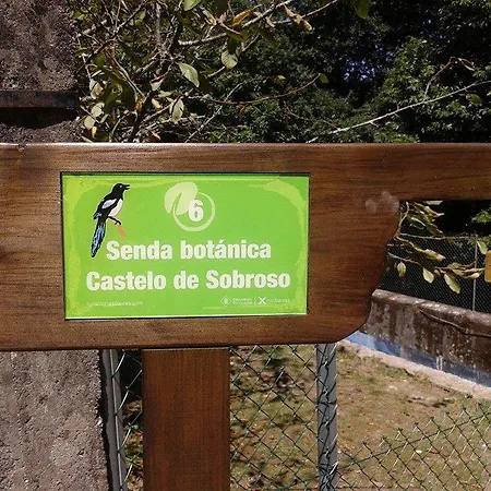 A Cantaruxa Maruxa *