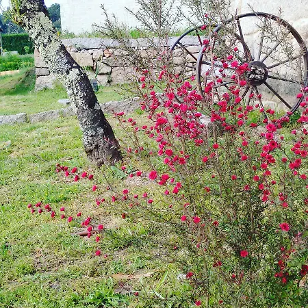 Séjour à la campagne A Cantaruxa Maruxa Mondariz