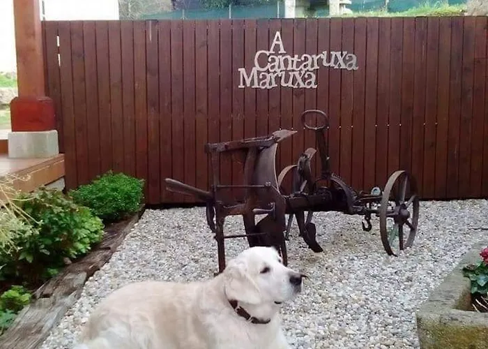 A Cantaruxa Maruxa *